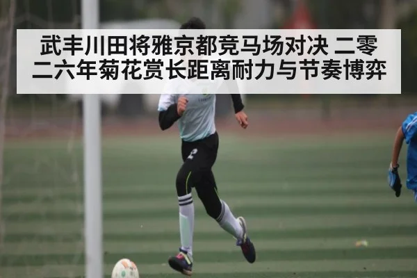 武丰川田将雅京都竞马场对决 二零二六年菊花赏长距离耐力与节奏博弈 | kaiyun
